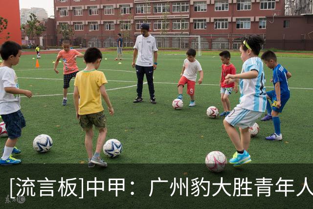 [流言板]中甲：广州豹大胜青年人，广西爆冷负佛山，陕西客胜南京